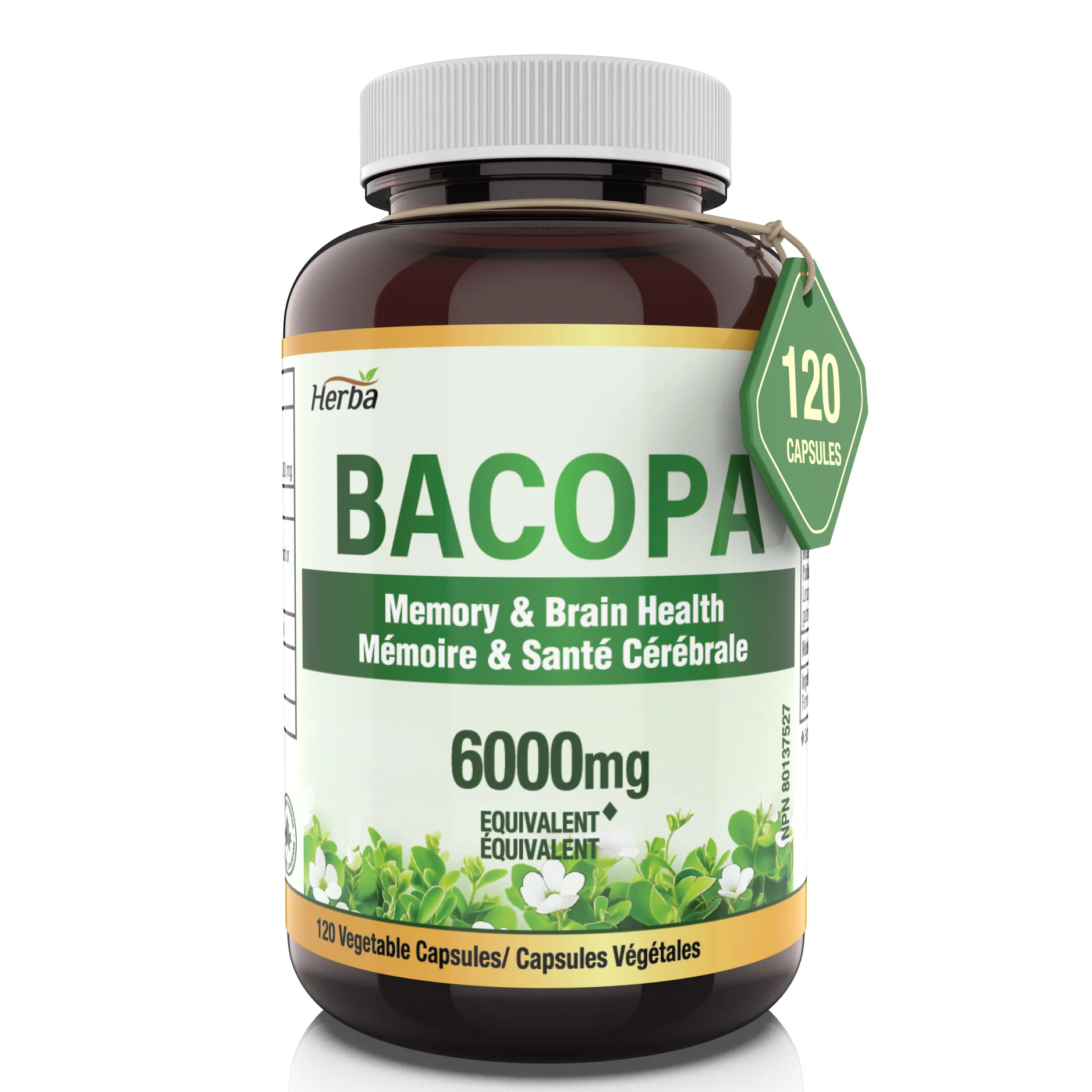 Bacopa Monnieri Supplement – 120 Capsules | 300mg, 20:1 Extract - 6,000mg Equivalent | Made in Canada