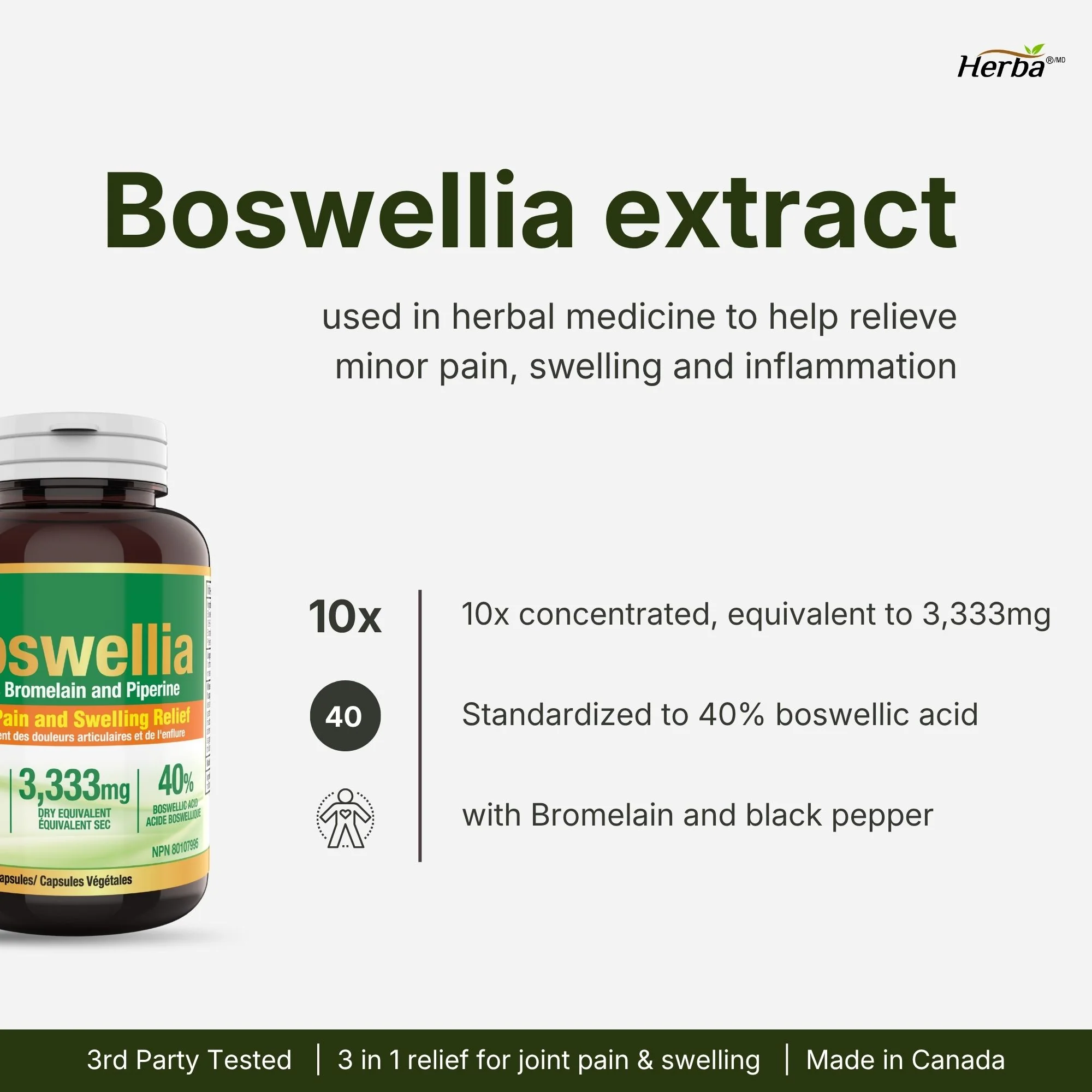 Boswellia Serrata Capsules with Bromelain Supplement - 120 Capsules - Image 3
