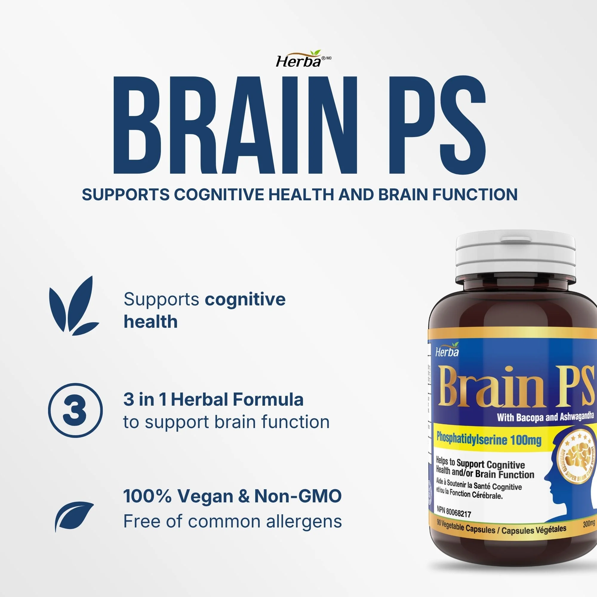 Brain PS - 90 Capsules | Brain Supplement with Phosphatidylserine, Bacopa Monnieri, and Ashwagandha - Image 3