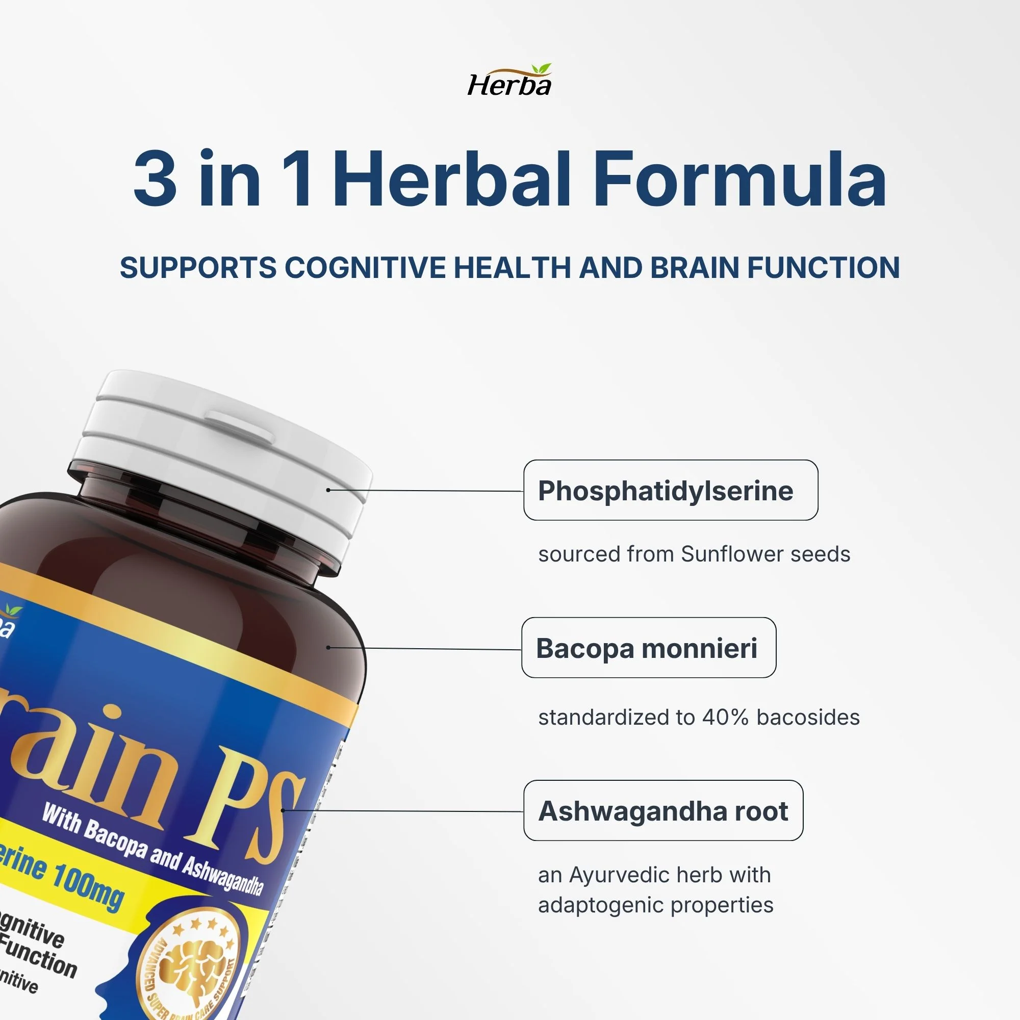 Brain PS - 90 Capsules | Brain Supplement with Phosphatidylserine, Bacopa Monnieri, and Ashwagandha - Image 6