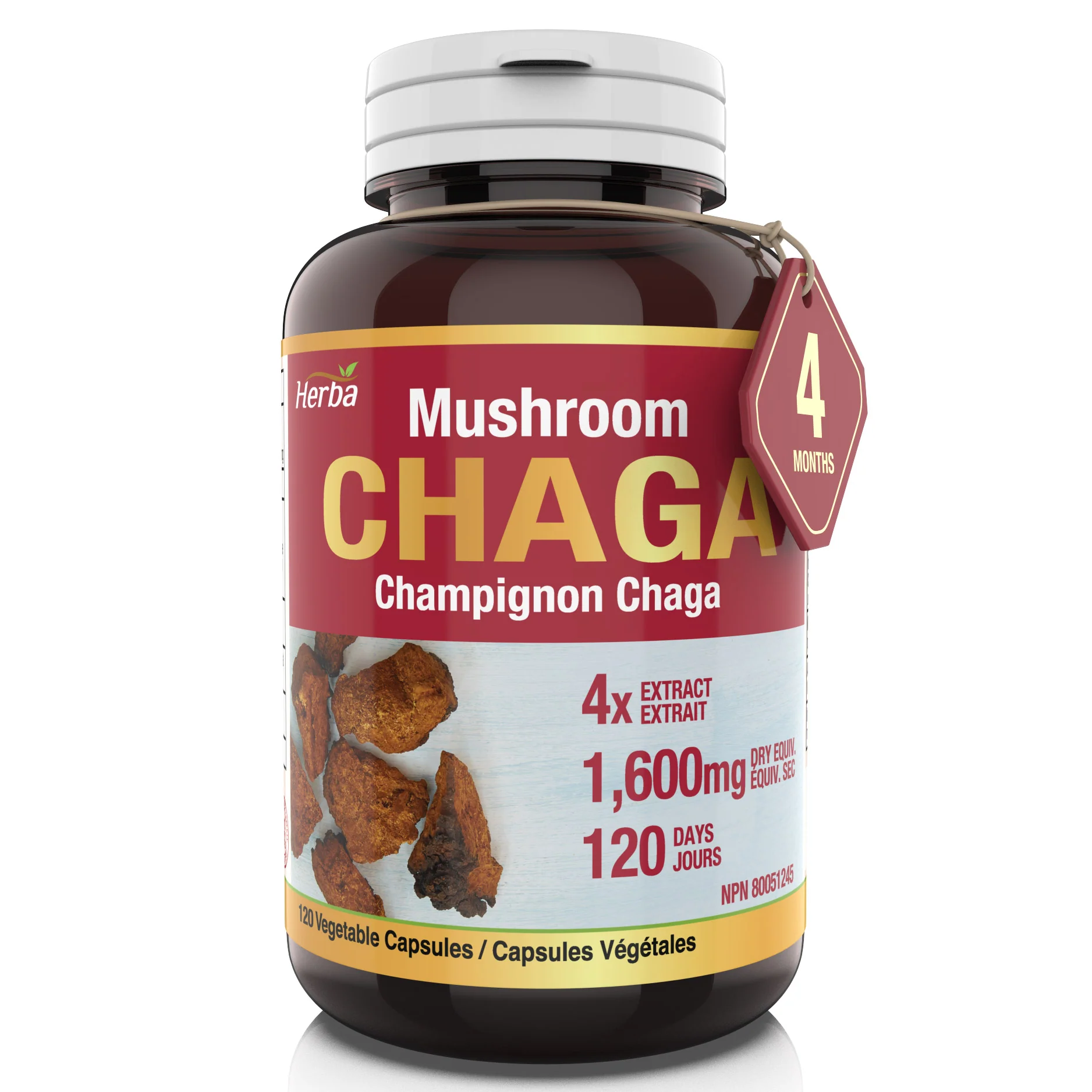 Chaga Mushroom Capsules 400mg - 120 Vegetable Capsules | 4:1 High Concentrate
