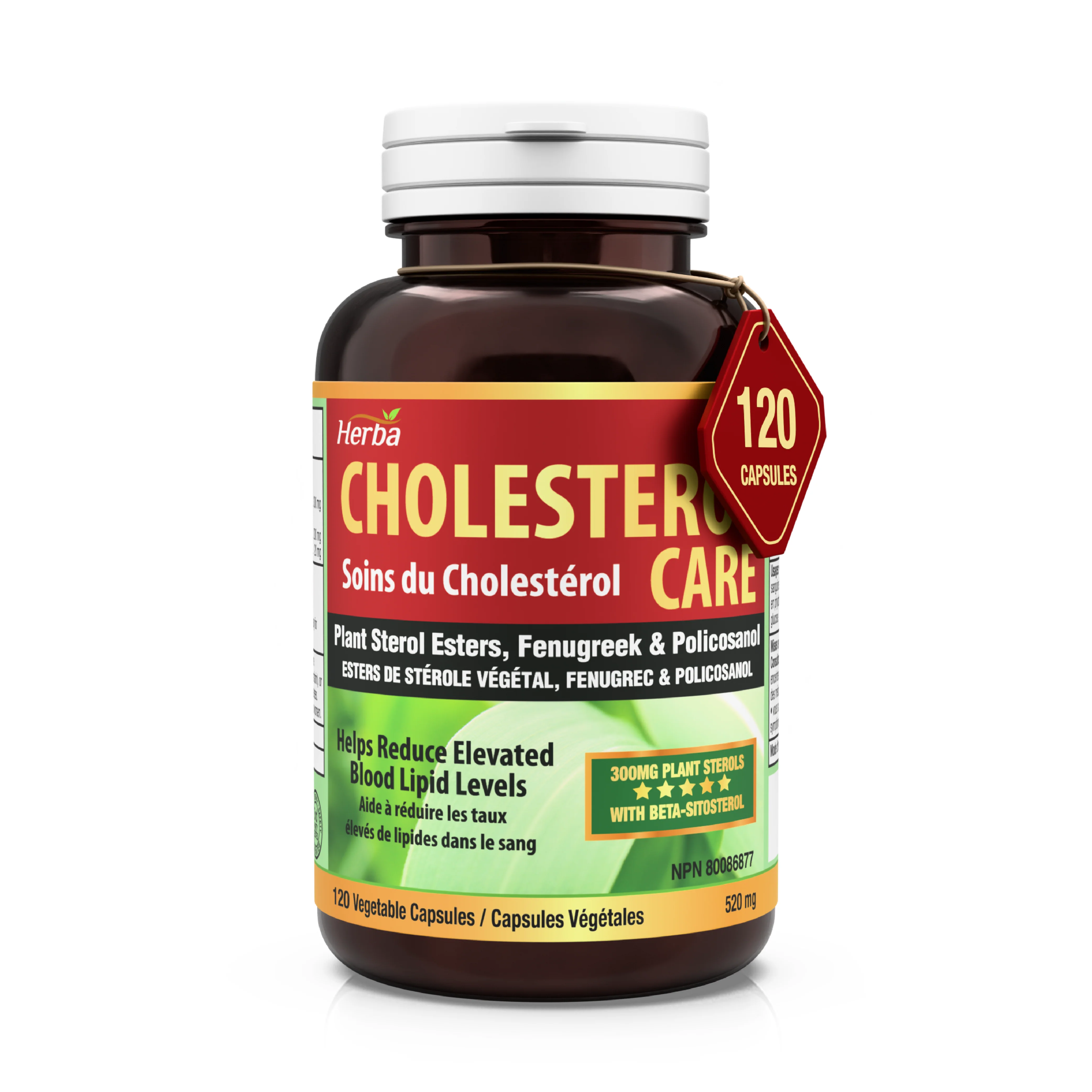 Cholesterol Care – 120 Vegetable Capsules