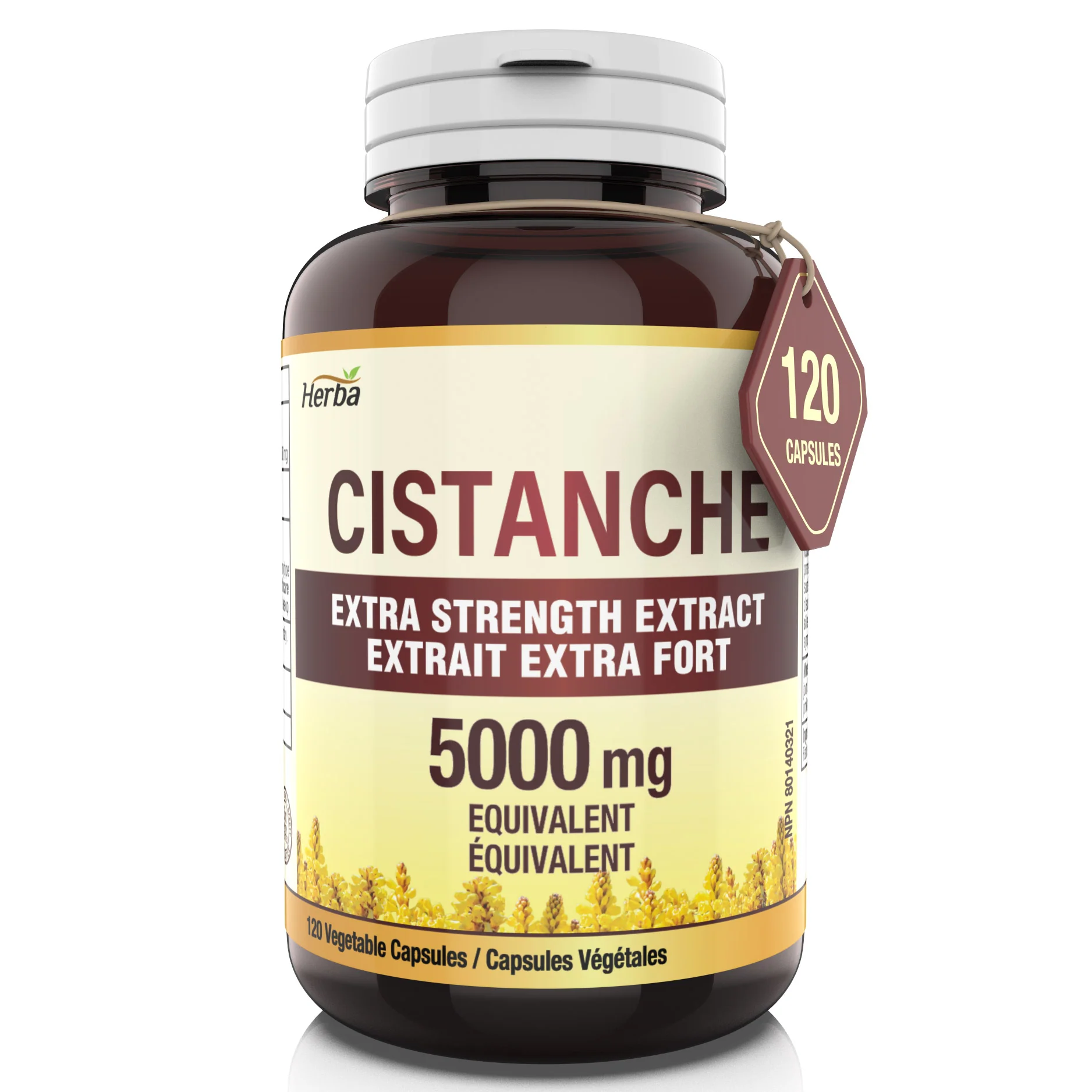 Cistanche Tubulosa Capsules – 120 Capsules | 5,000mg Equivalent | 10: 1 Extract | Made in Canada