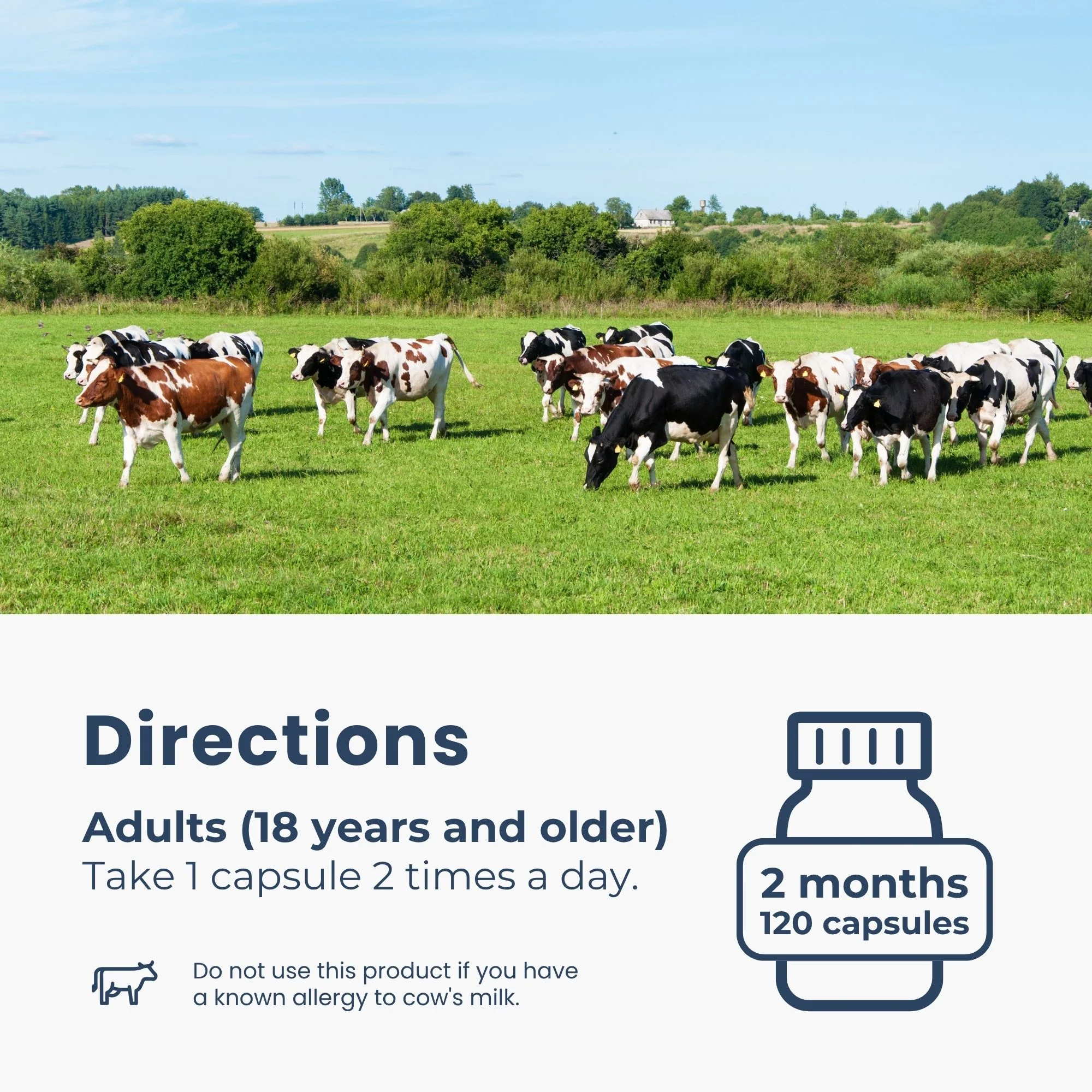 Bovine Colostrum Supplements 500mg - 120 Capsules | Rich in Lactoferrin and Immunoglobulins | 30% IgG - Image 7