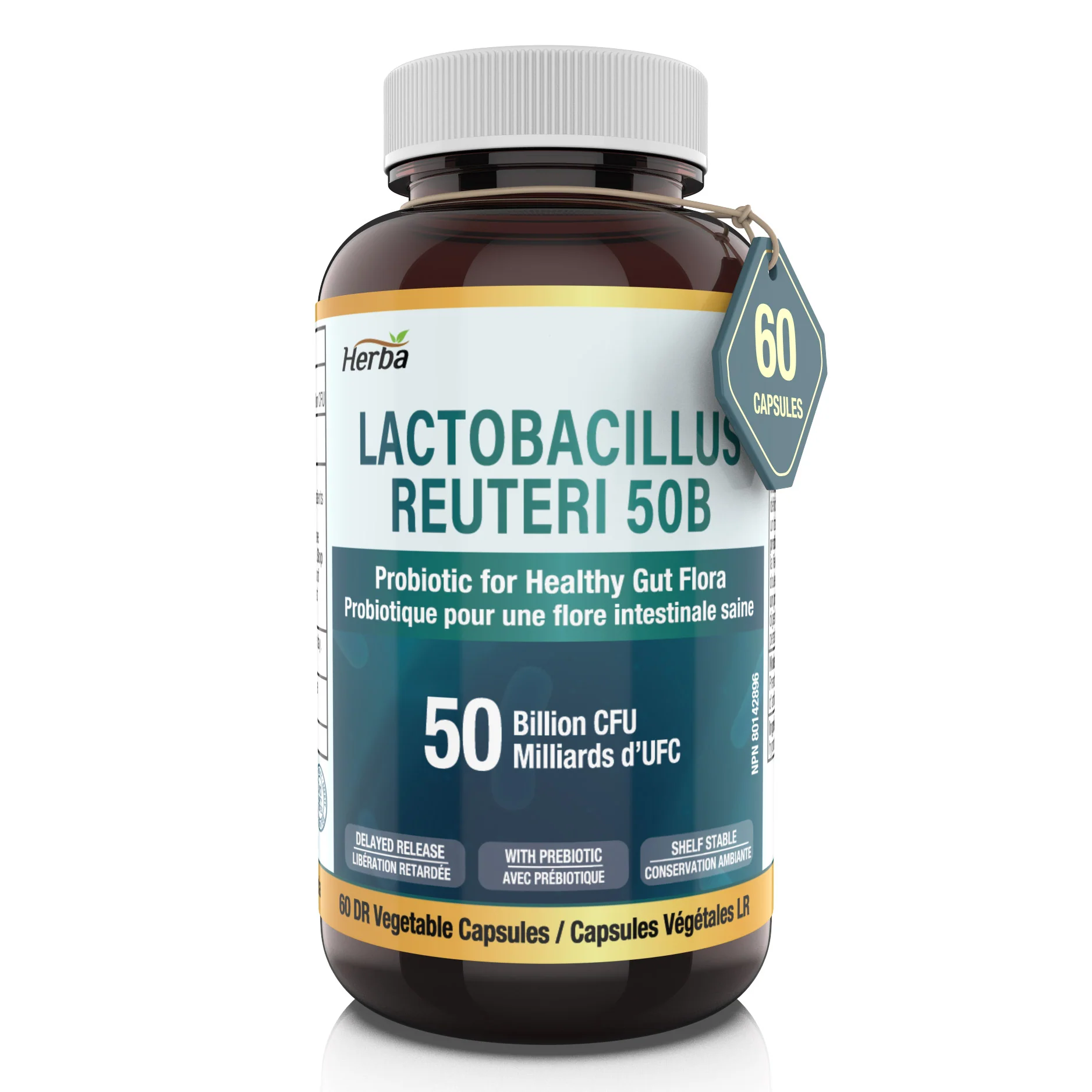 Lactobacillus Reuteri 50B CFU โ 60 DR Capsules | With Prebiotic FOS | Made in Canada