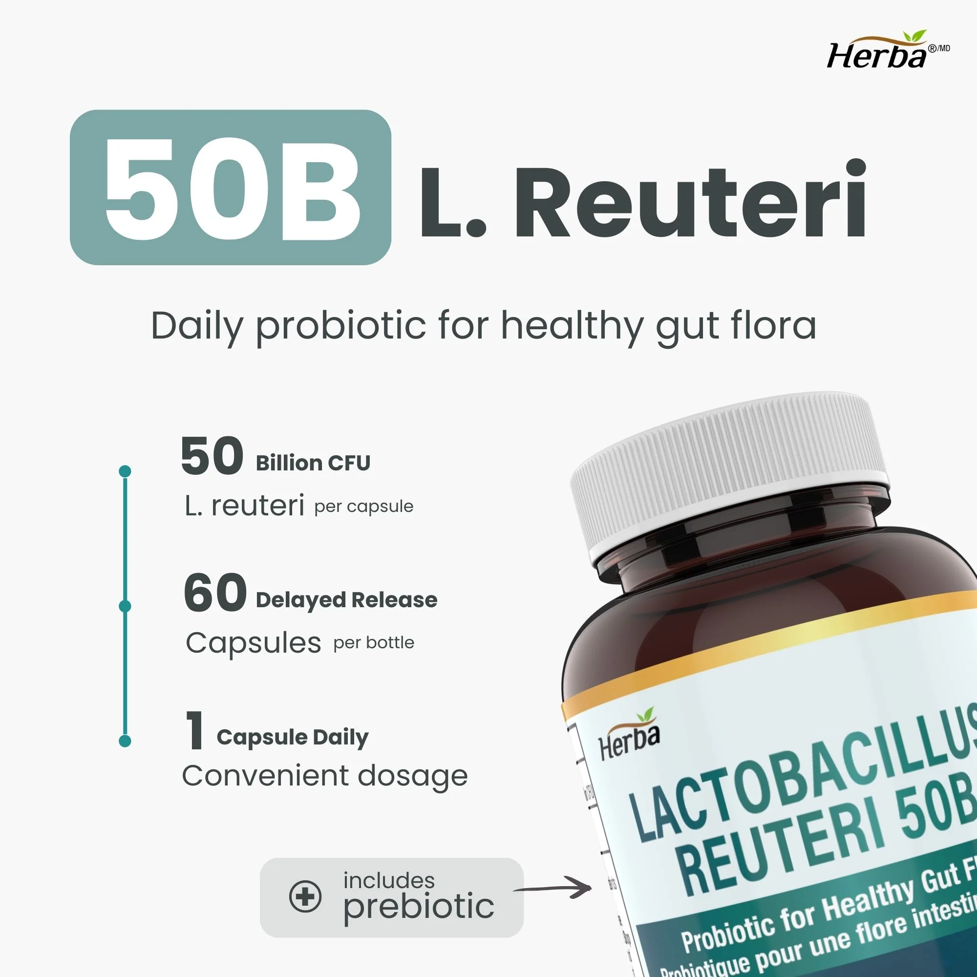 Lactobacillus Reuteri 50B CFU โ 60 DR Capsules | With Prebiotic FOS | Made in Canada - Image 3