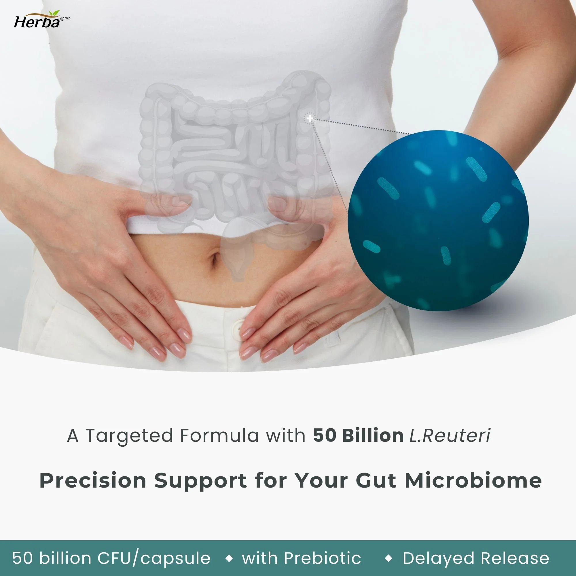 Lactobacillus Reuteri 50B CFU โ 60 DR Capsules | With Prebiotic FOS | Made in Canada - Image 4