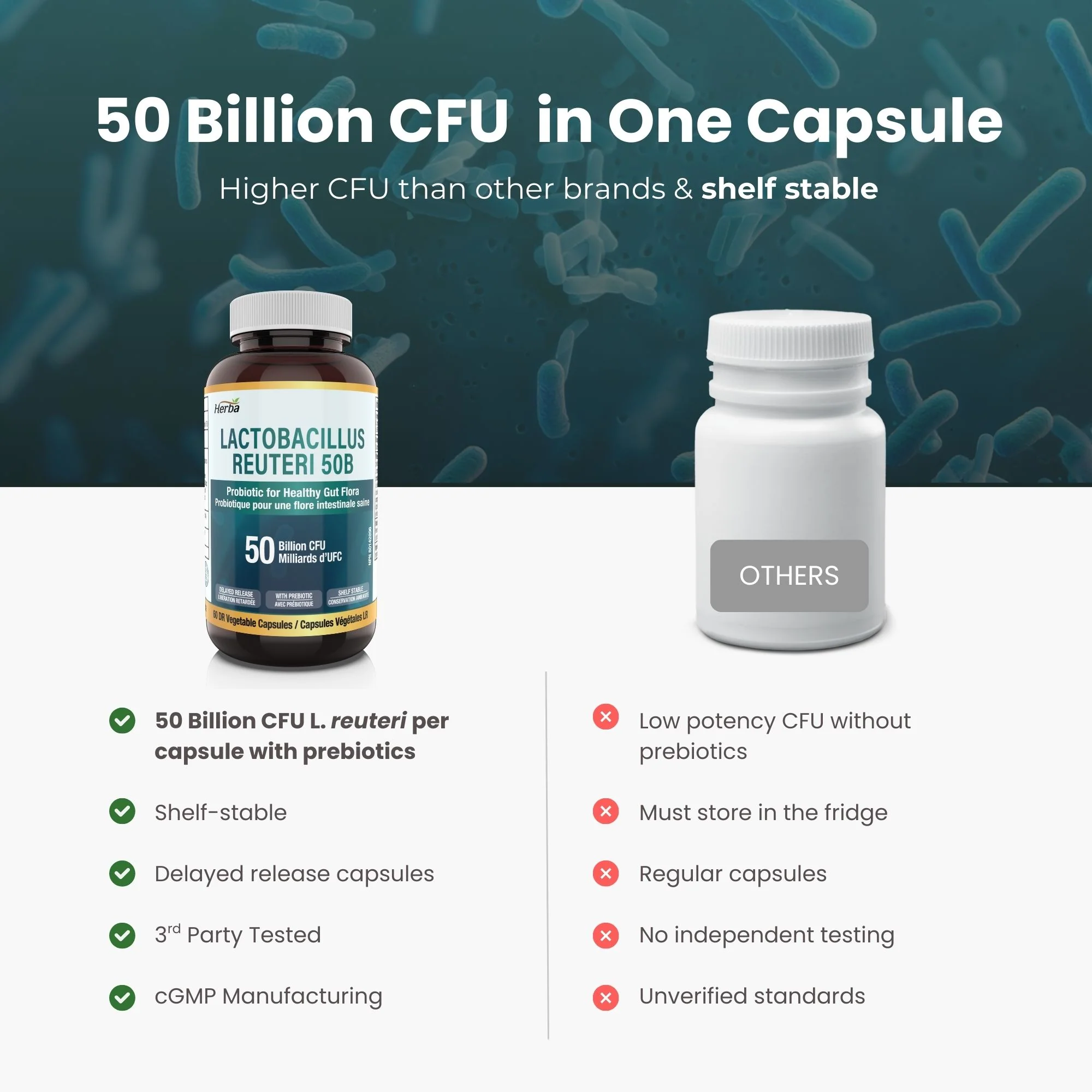 Lactobacillus Reuteri 50B CFU โ 60 DR Capsules | With Prebiotic FOS | Made in Canada - Image 6