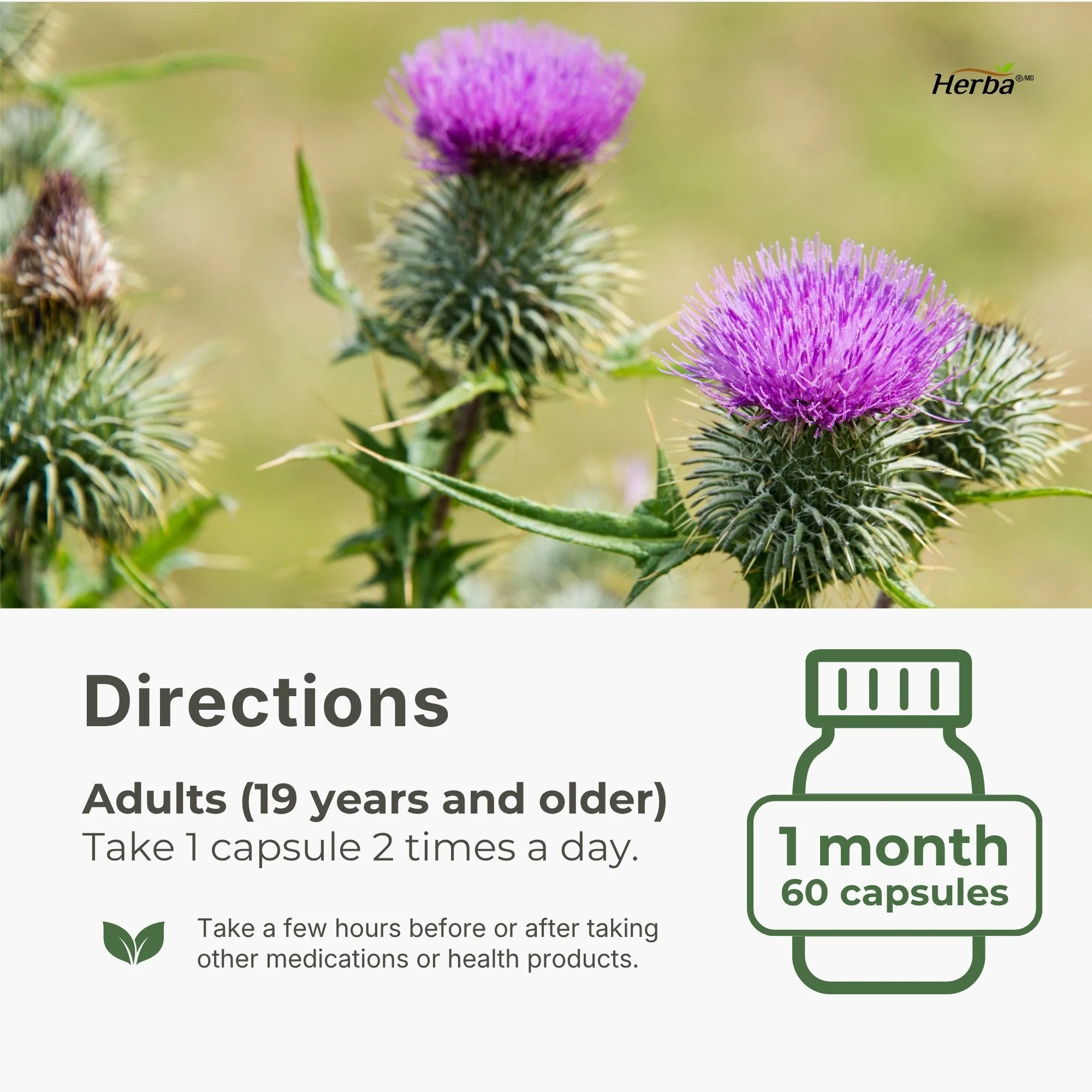 Liver Detox Supplement - 60 Capsules | Liver Health Formula with Milk Thistle and 6 Other Ingredients - Image 8
