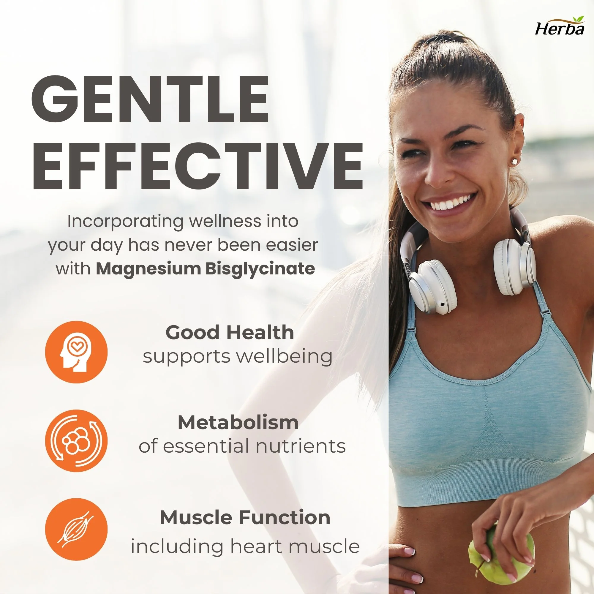 Magnesium Bisglycinate 200mg - 240 Vegetable Capsules - Image 4