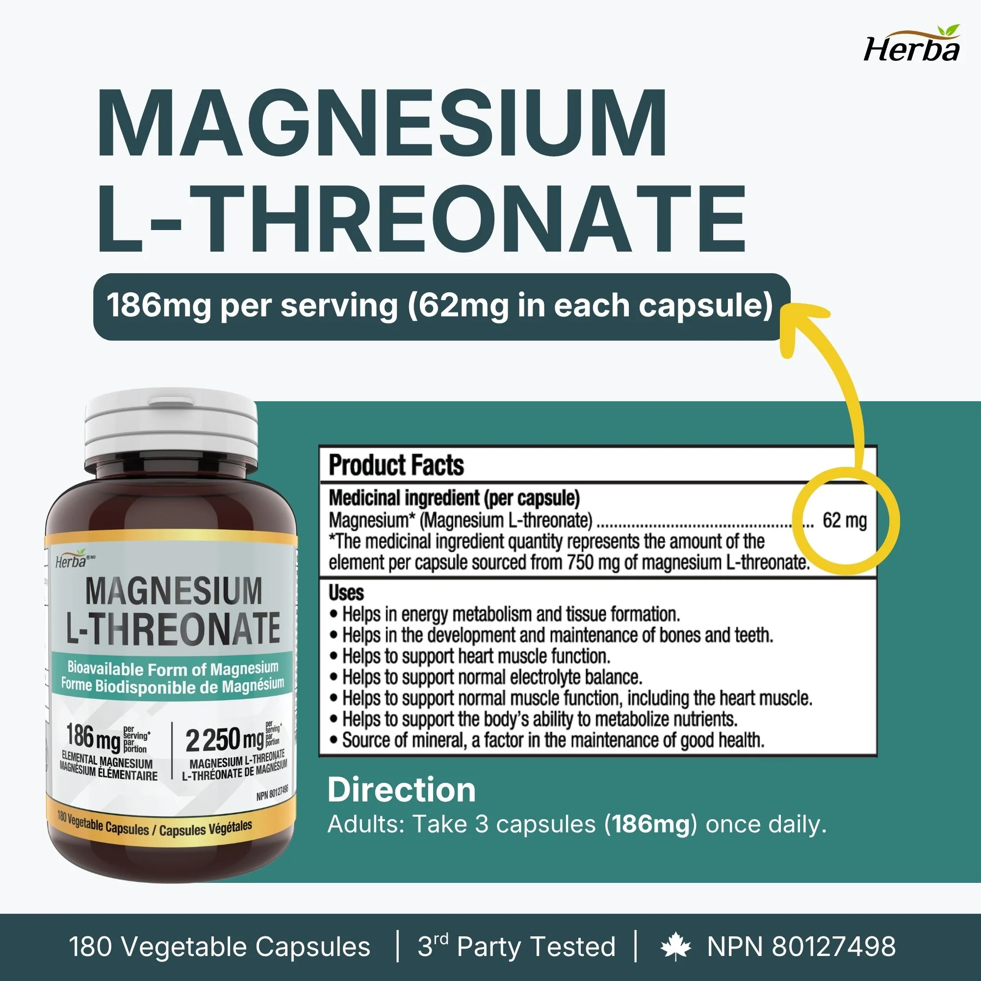 Magnesium L-Threonate Supplement – 186mg | Made in Canada | 180 Vegetable Capsules - Image 3