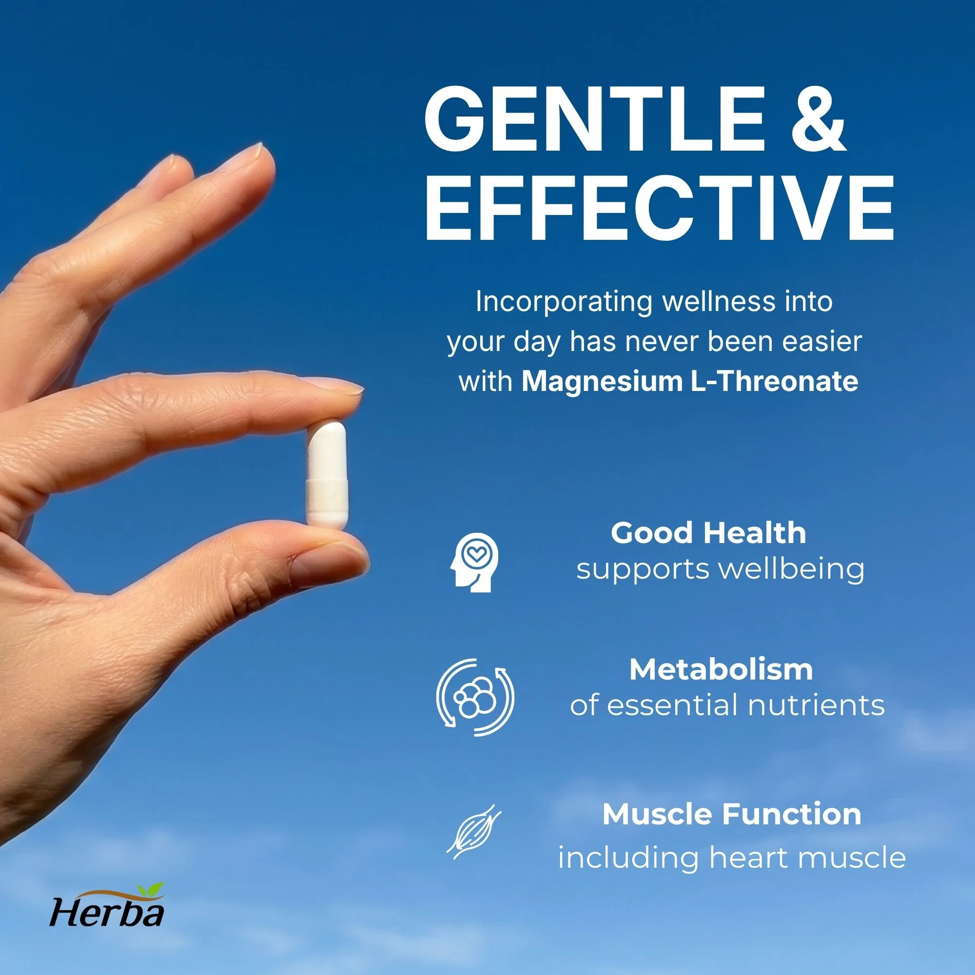 Magnesium L-Threonate Supplement – 186mg | Made in Canada | 180 Vegetable Capsules - Image 7