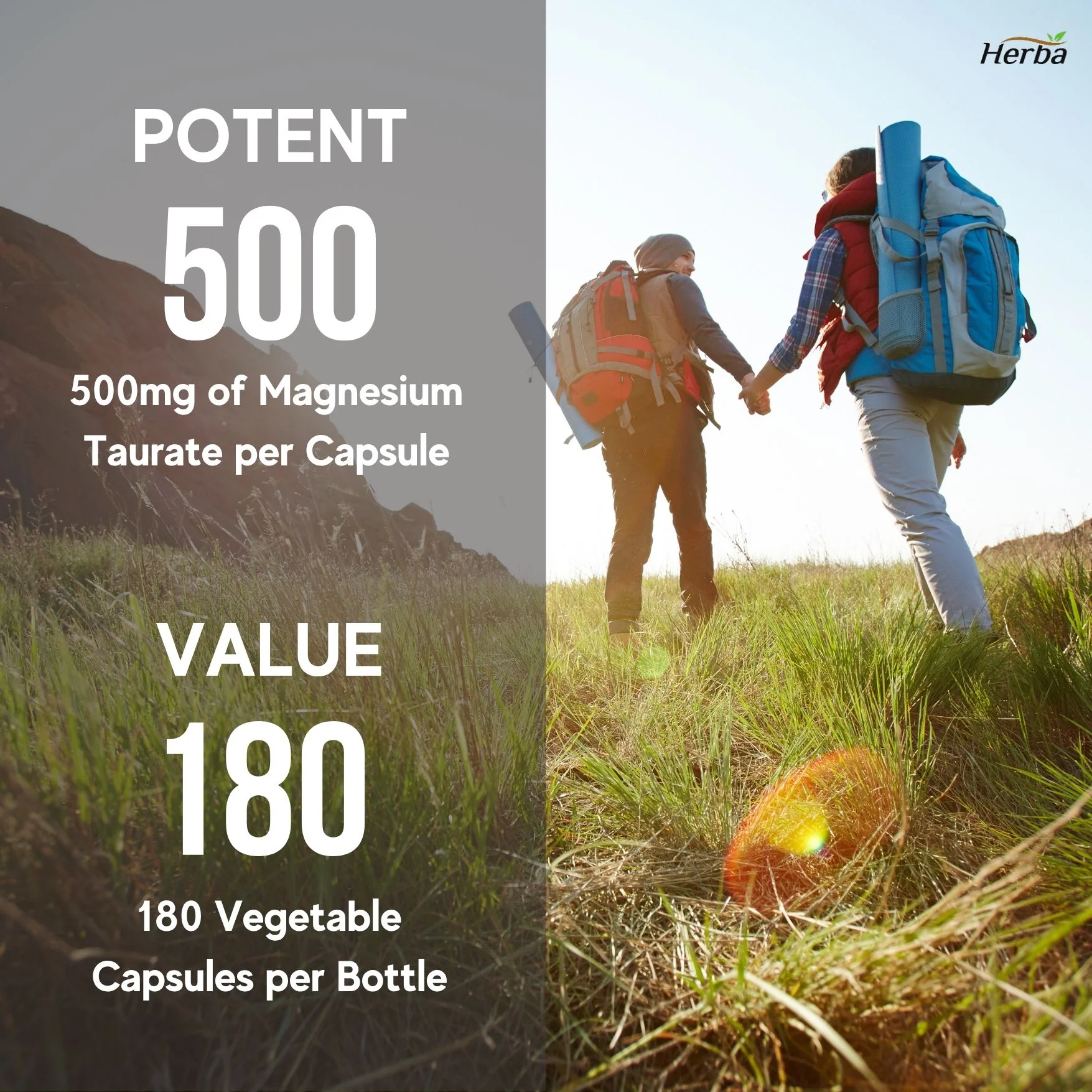 Magnesium Taurate Supplement 500mg - 180 Capsules | Made in Canada - Image 5
