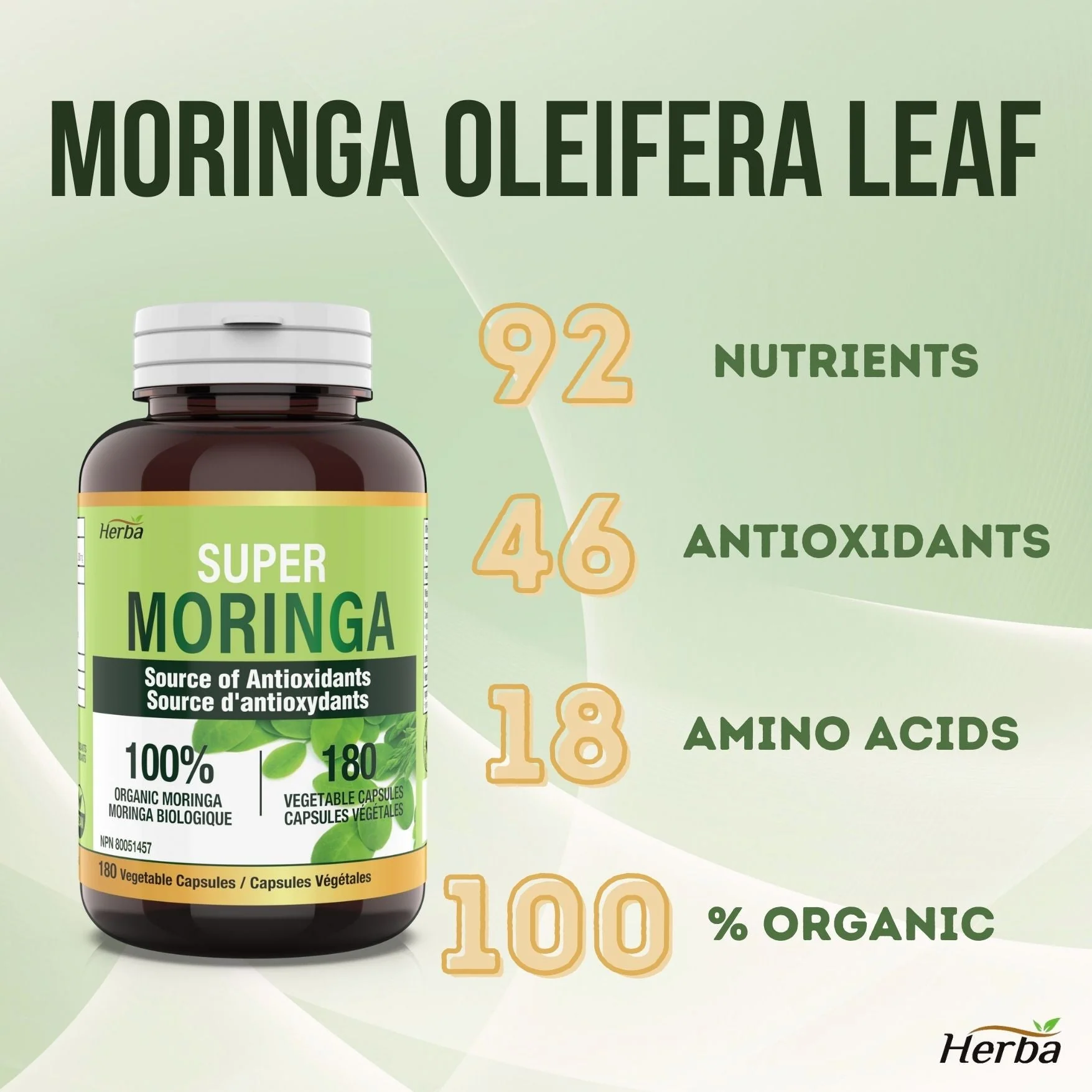Organic Moringa Leaf Capsules - 180 Vegetable Capsules | 1000mg Per Day - Image 5