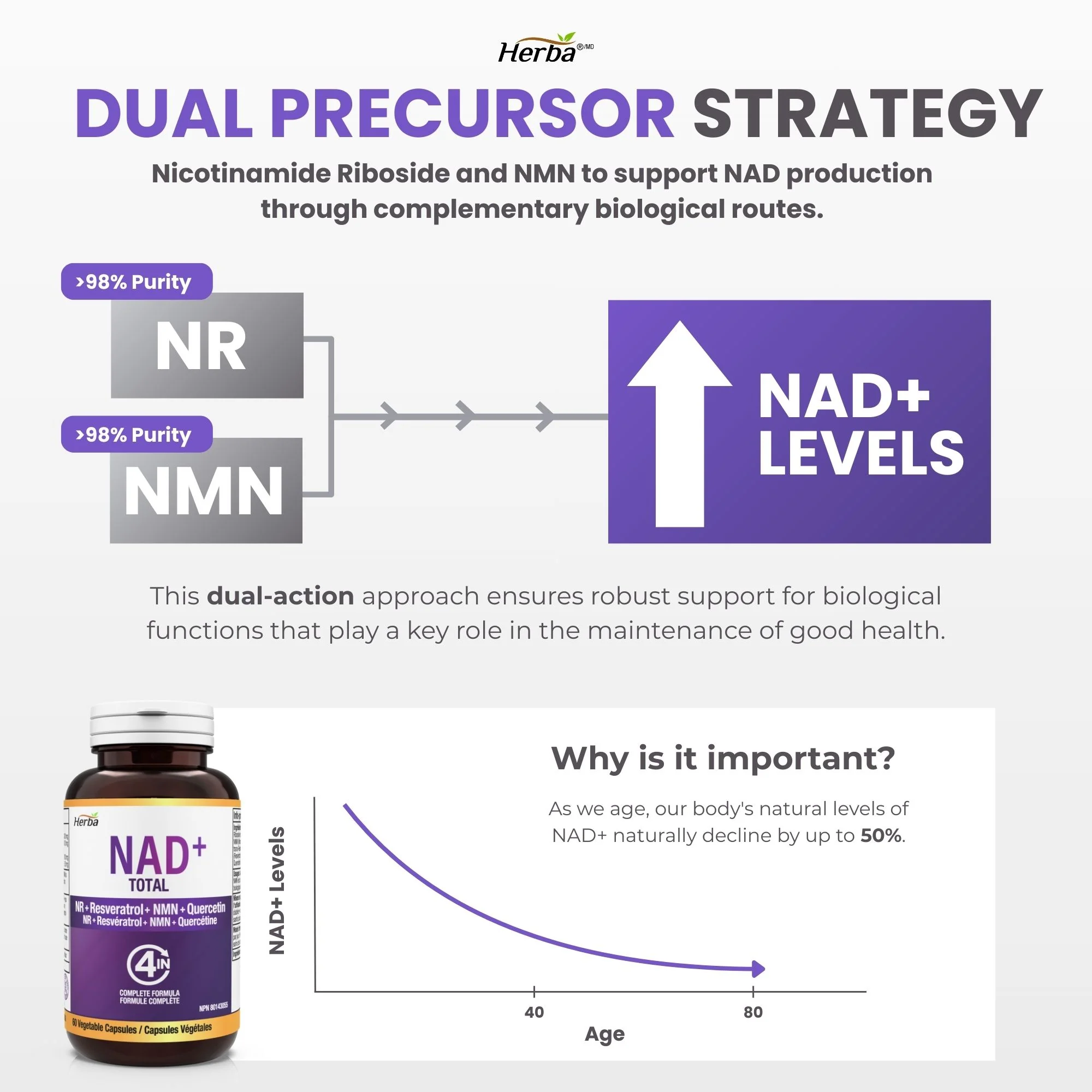 NAD+ Supplement 550mg – 60 Capsules | 4-in-1 NAD Plus Total with Nicotinamide Riboside (NR), NMN, Resveratrol & Quercetin | Made in Canada - Image 4