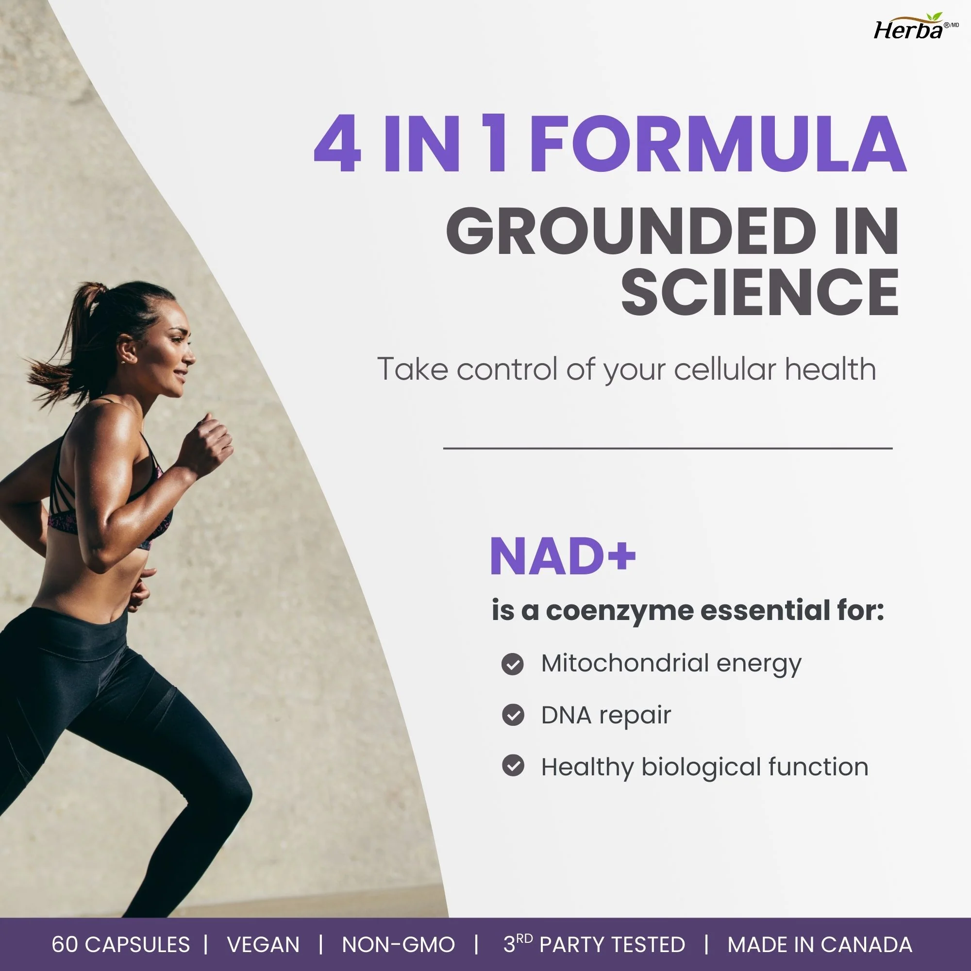 NAD+ Supplement 550mg – 60 Capsules | 4-in-1 NAD Plus Total with Nicotinamide Riboside (NR), NMN, Resveratrol & Quercetin | Made in Canada - Image 6