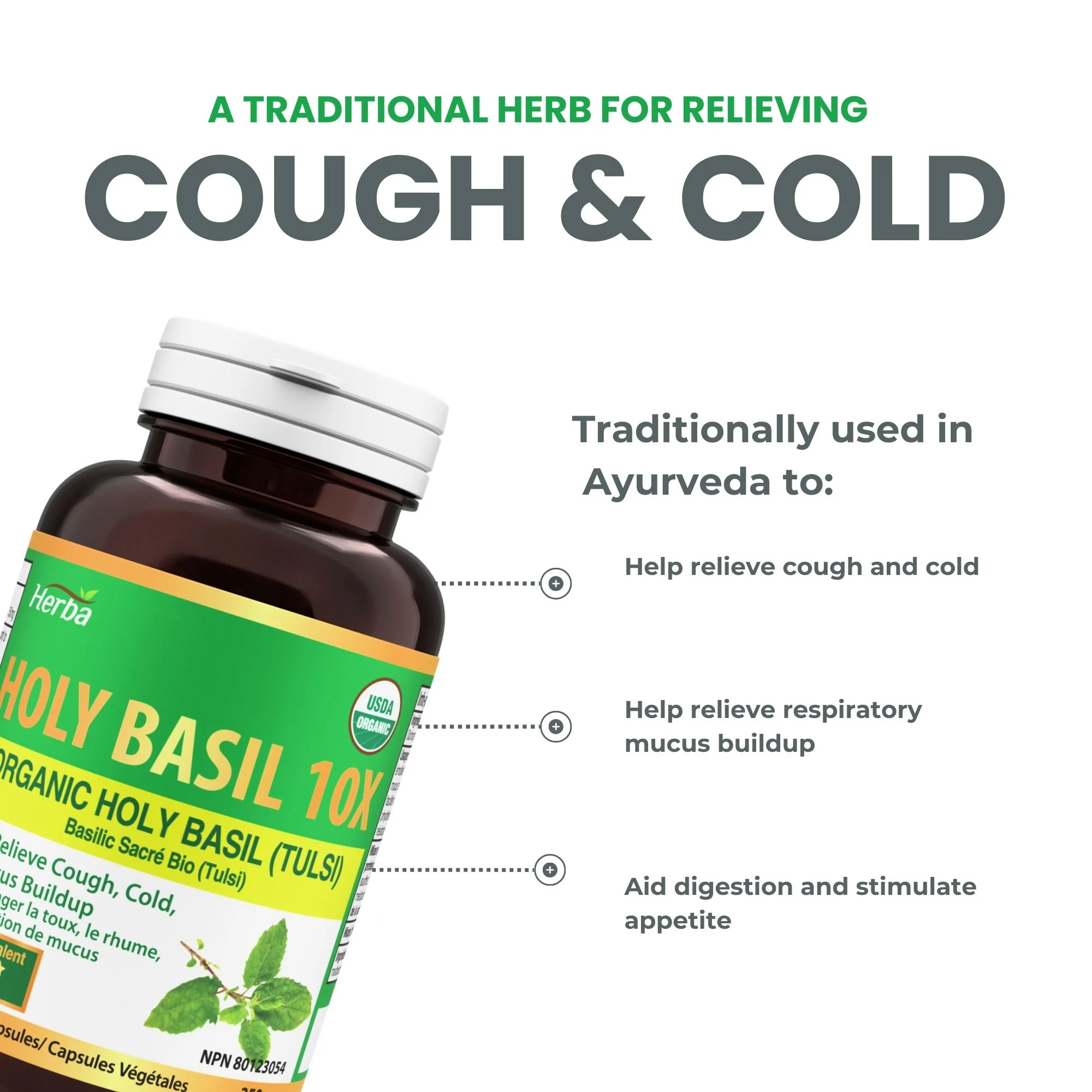 Organic Holy Basil Capsules – 350mg | 120 Vegetable Capsules - Image 5