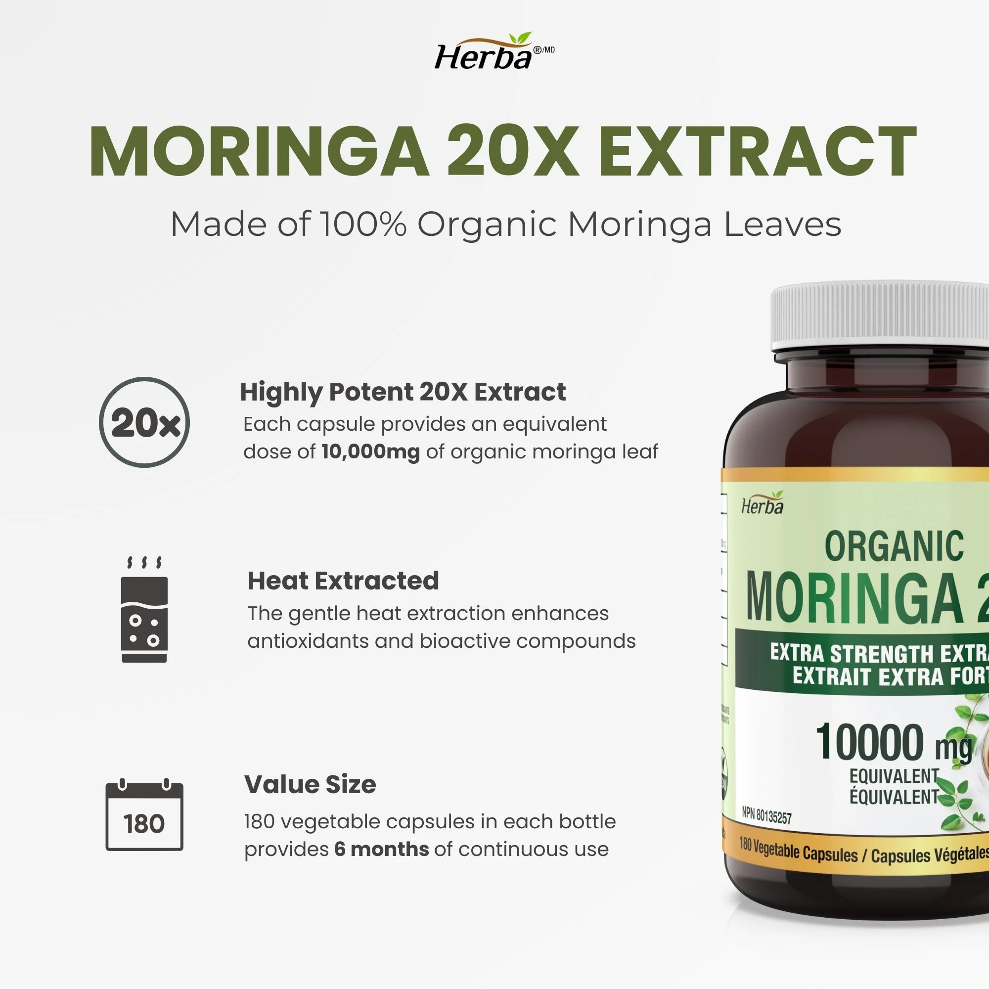 Organic Moringa Extract Capsules 10,000mg - 180 Capsules | 20:1 Extract | Made in Canada - Image 3