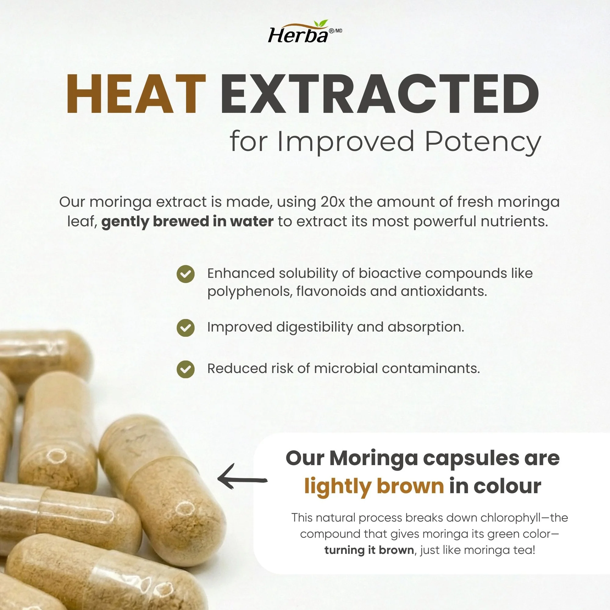 Organic Moringa Extract Capsules 10,000mg - 180 Capsules | 20:1 Extract | Made in Canada - Image 5