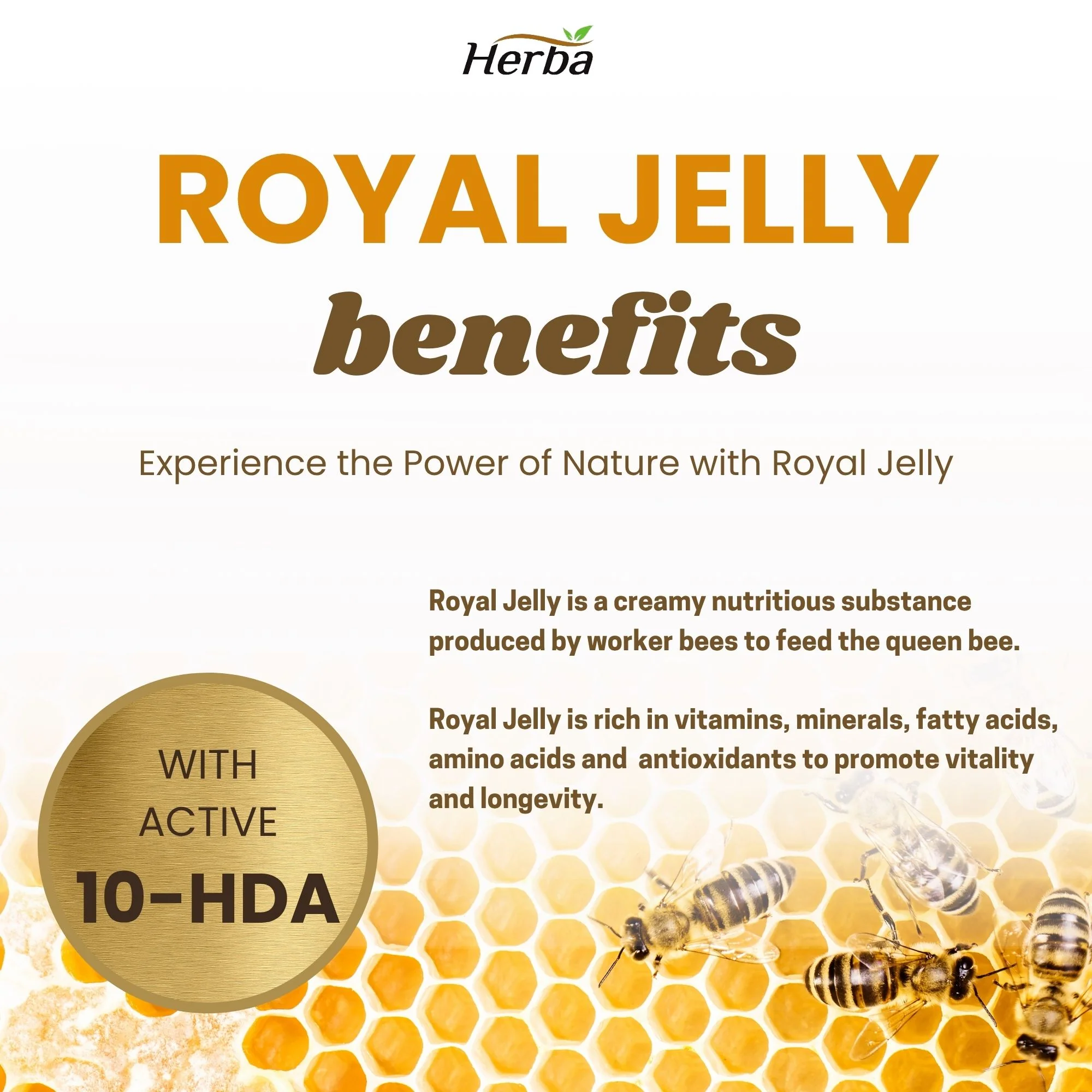 Royal Jelly Capsules 1000mg - 120 Softgels | Made in Canada - Image 4