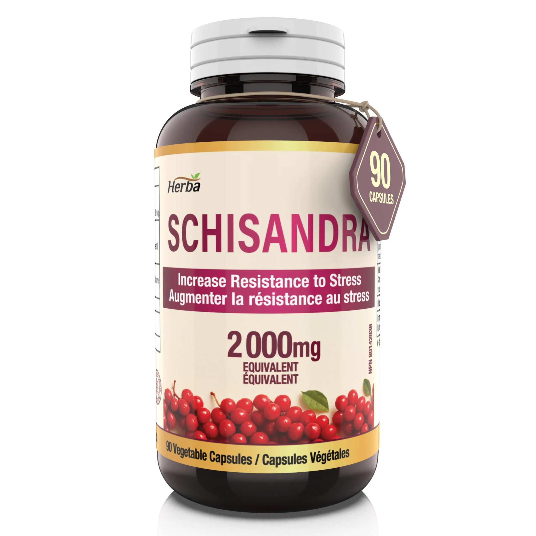 Schisandra Supplement – 90 Capsules | 4:1 Extract – 2,000mg Equivalent Schisandra Berry | Made in Canada