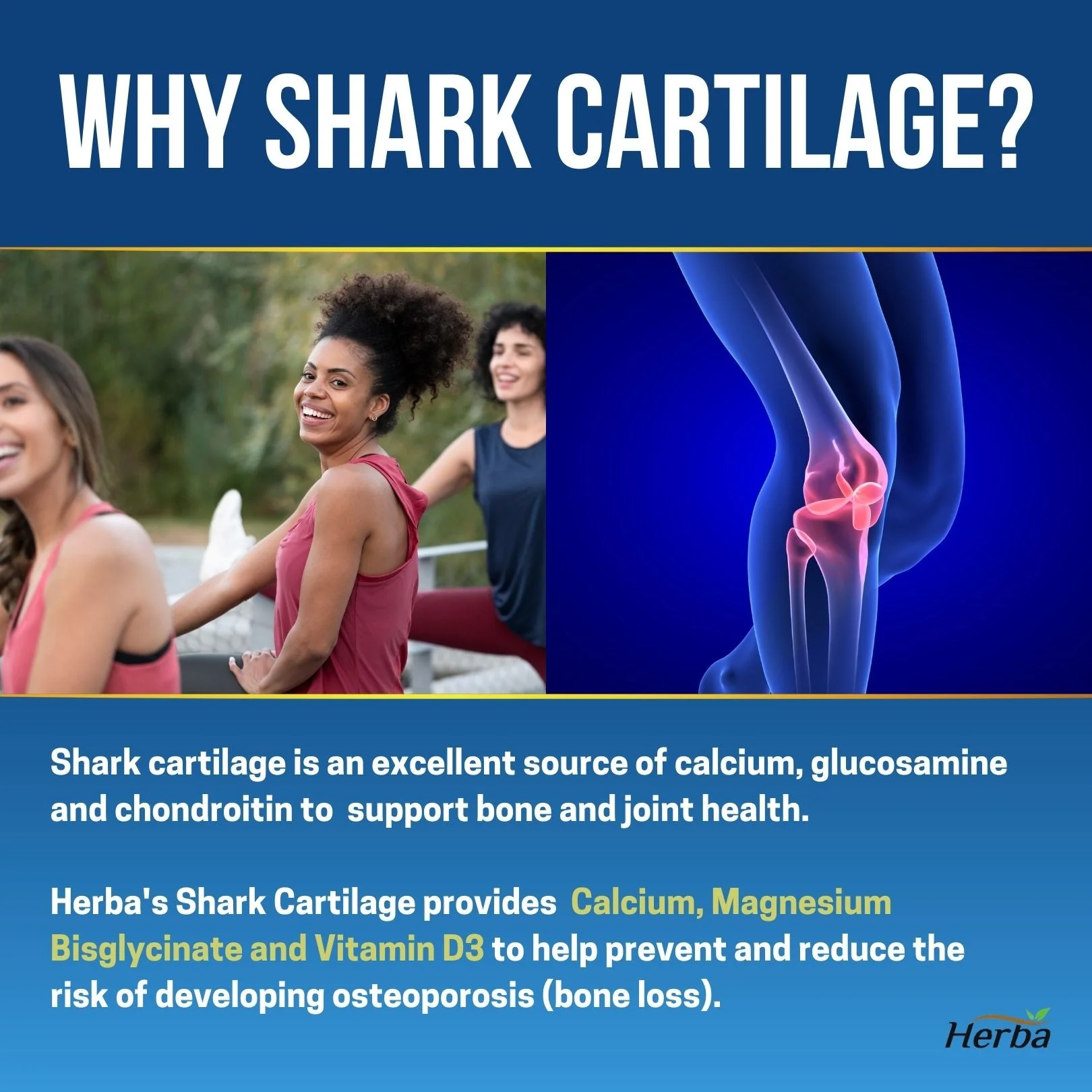 Shark Cartilage Capsules - 120 Capsules | 1,500mg Per Day | Shark Cartilage Supplement for Joints with Magnesium and Vitamin D3 - Image 3
