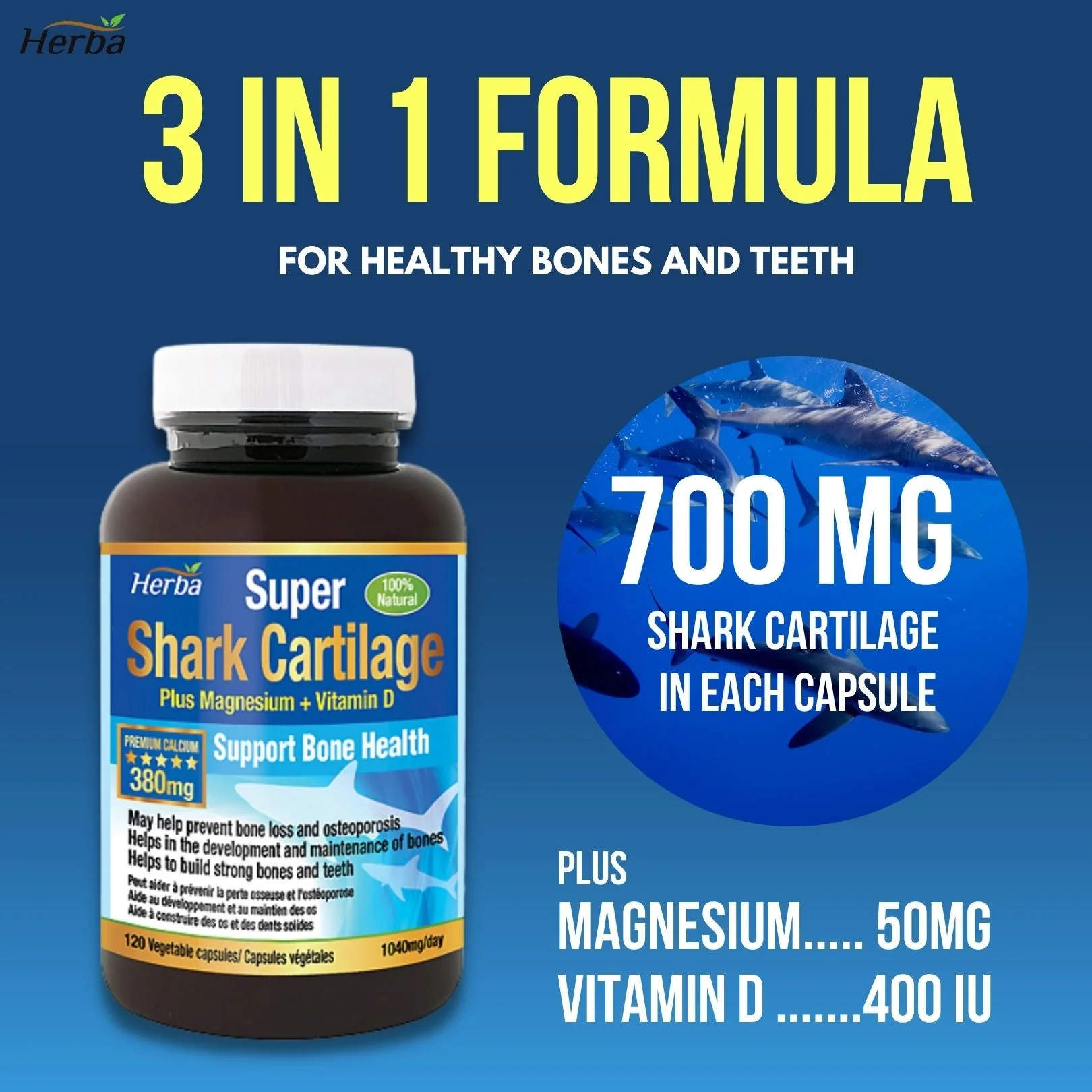 Shark Cartilage Capsules - 120 Capsules | 1,500mg Per Day | Shark Cartilage Supplement for Joints with Magnesium and Vitamin D3 - Image 4