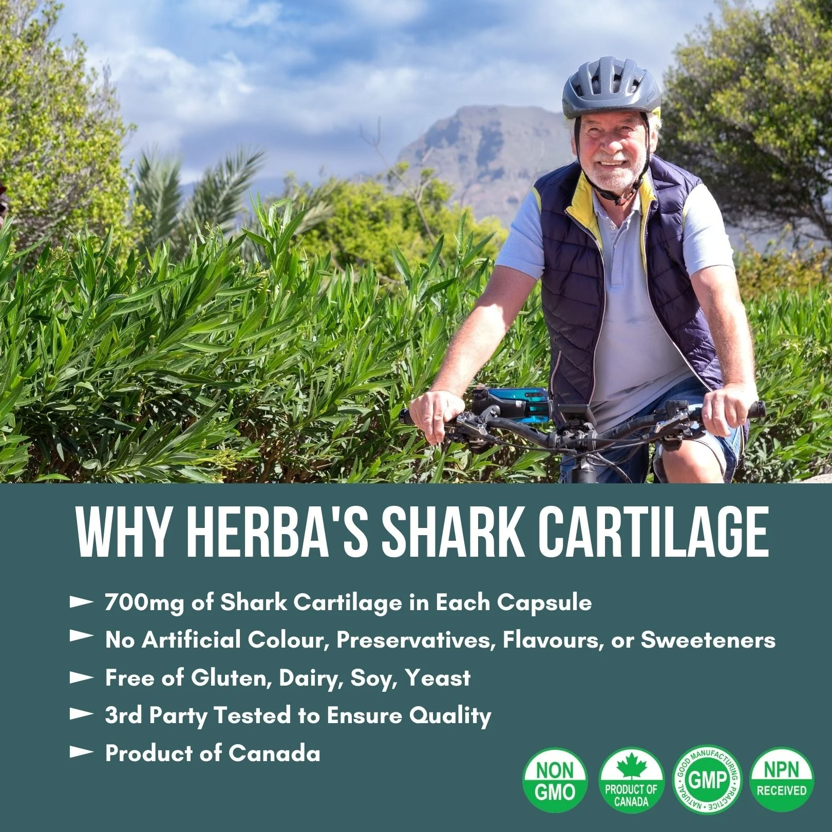 Shark Cartilage Capsules - 120 Capsules | 1,500mg Per Day | Shark Cartilage Supplement for Joints with Magnesium and Vitamin D3 - Image 7